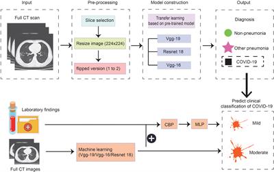 Artificial Intelligence Systems for Diagnosis and Clinical Classification of COVID-19